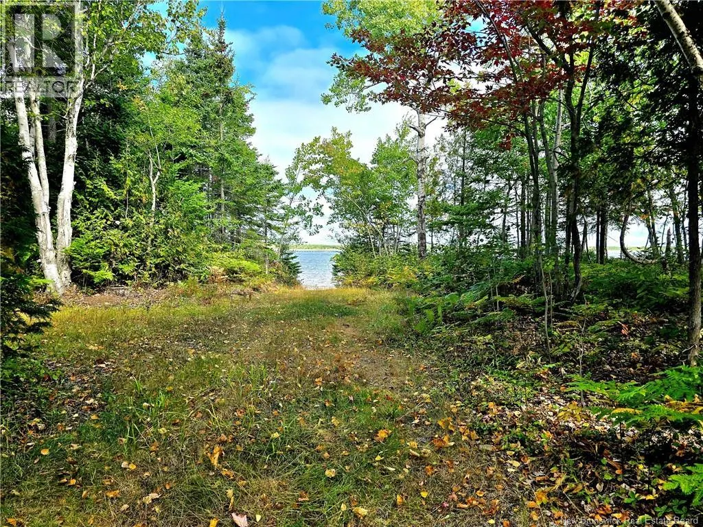 52.29 acres Chemin LeBouthillier