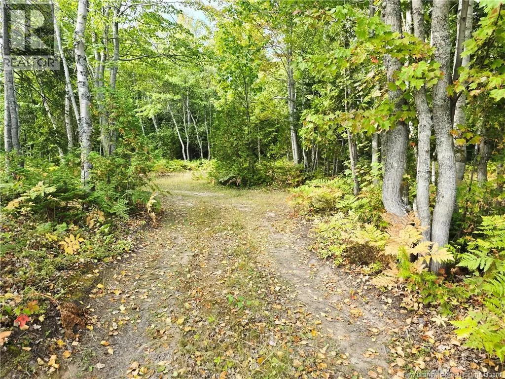 52.29 acres Chemin LeBouthillier