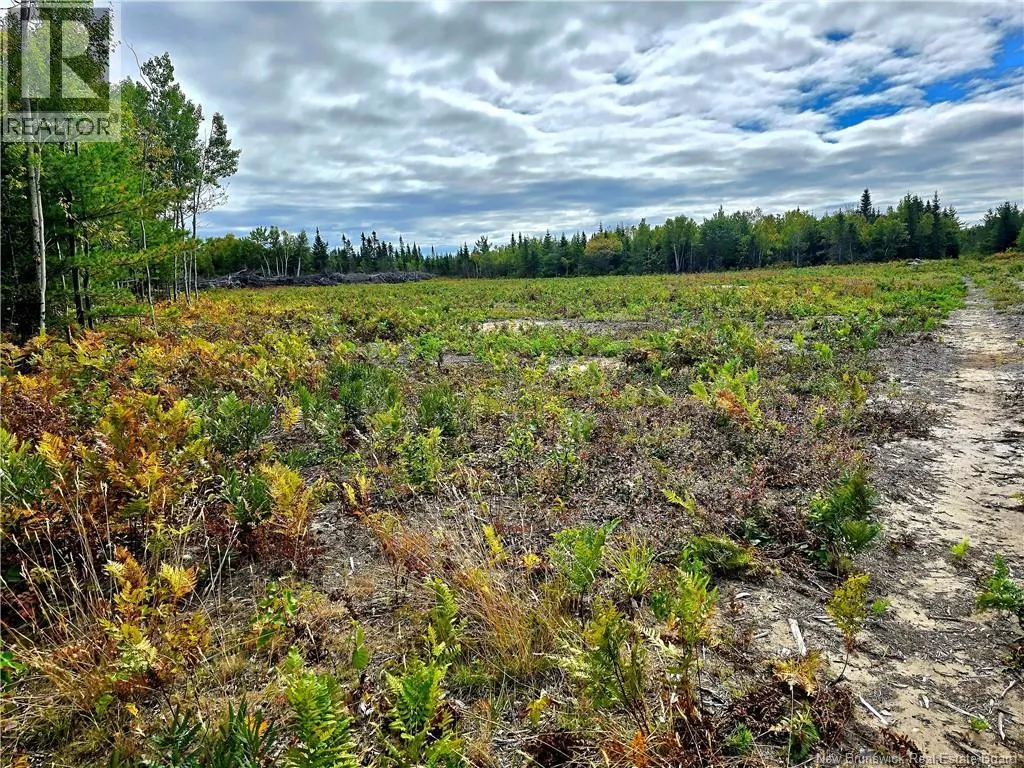 52.29 acres Chemin LeBouthillier