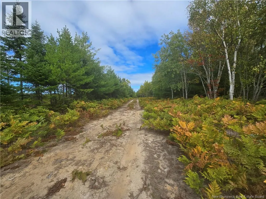 52.29 acres Chemin LeBouthillier