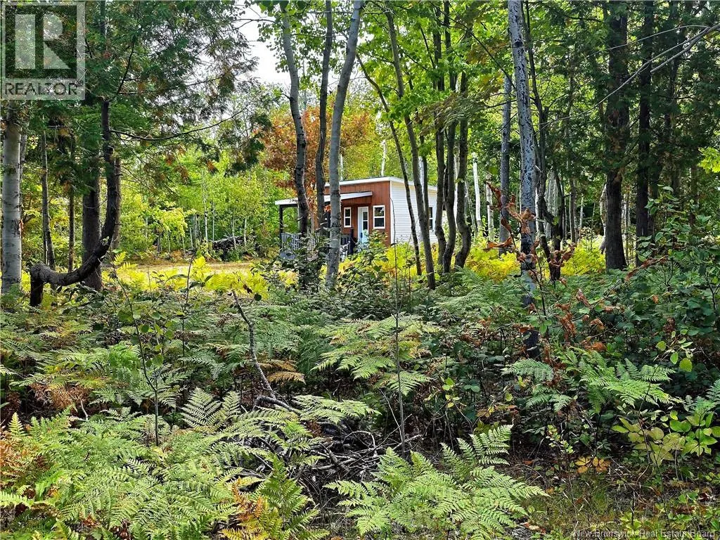 52.29 acres Chemin LeBouthillier
