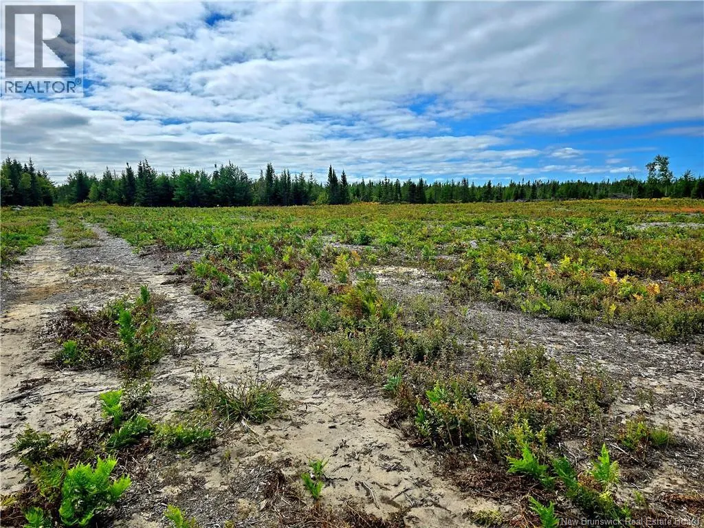 52.29 acres Chemin LeBouthillier