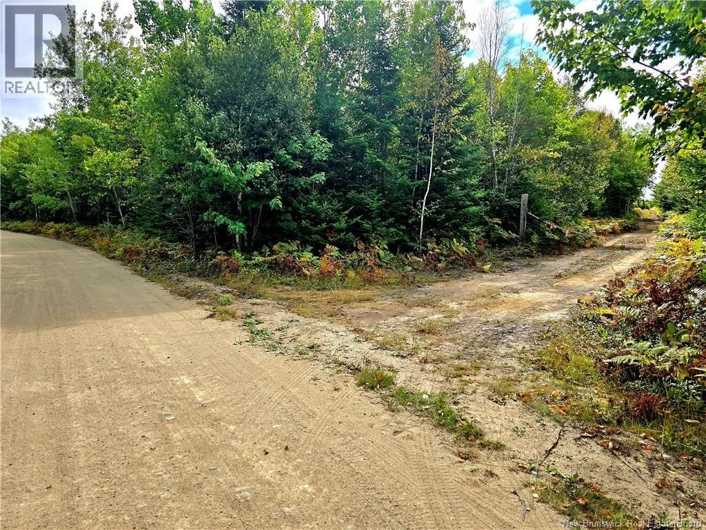 52.29 acres Chemin LeBouthillier