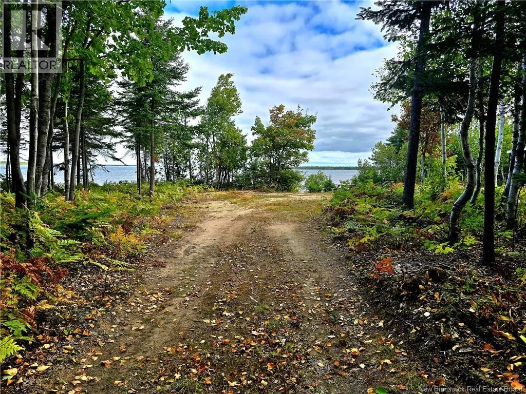 52.29 acres Chemin LeBouthillier