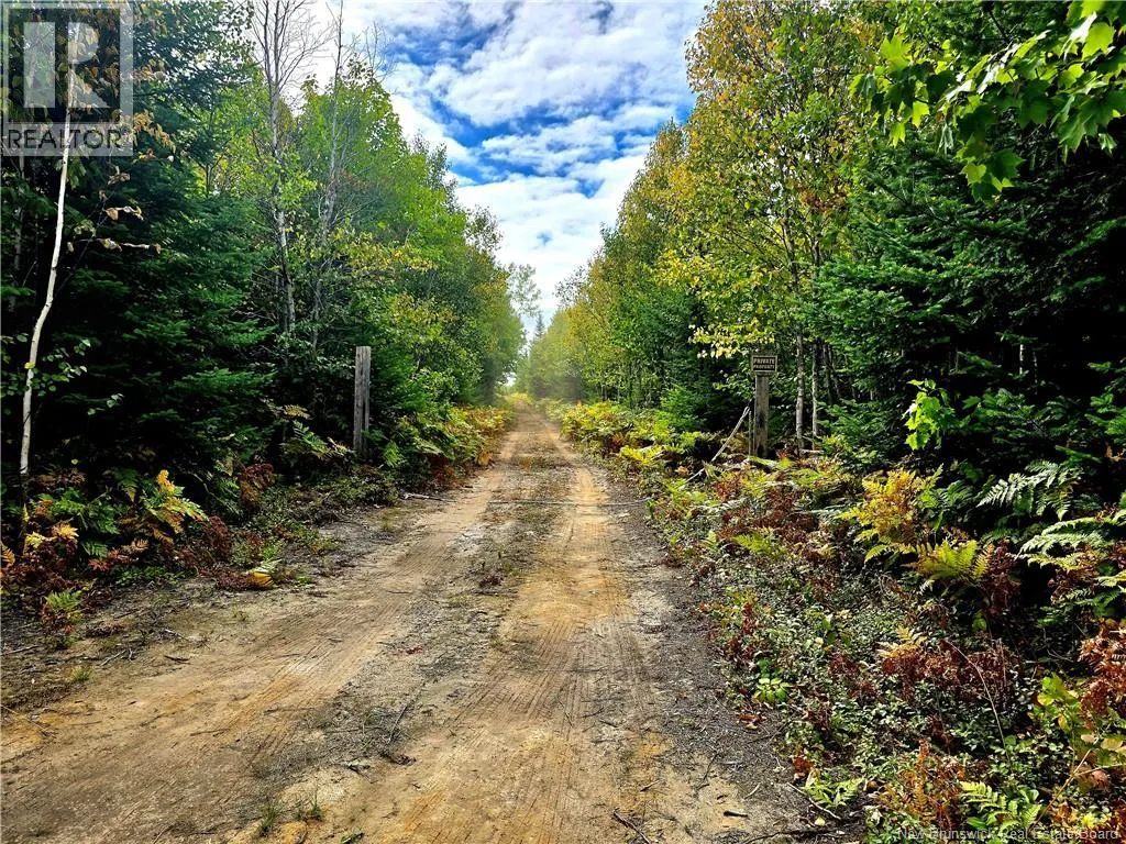 52.29 acres Chemin LeBouthillier