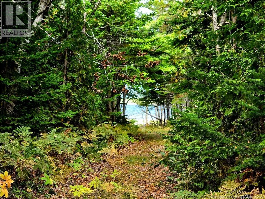 52.29 acres Chemin LeBouthillier