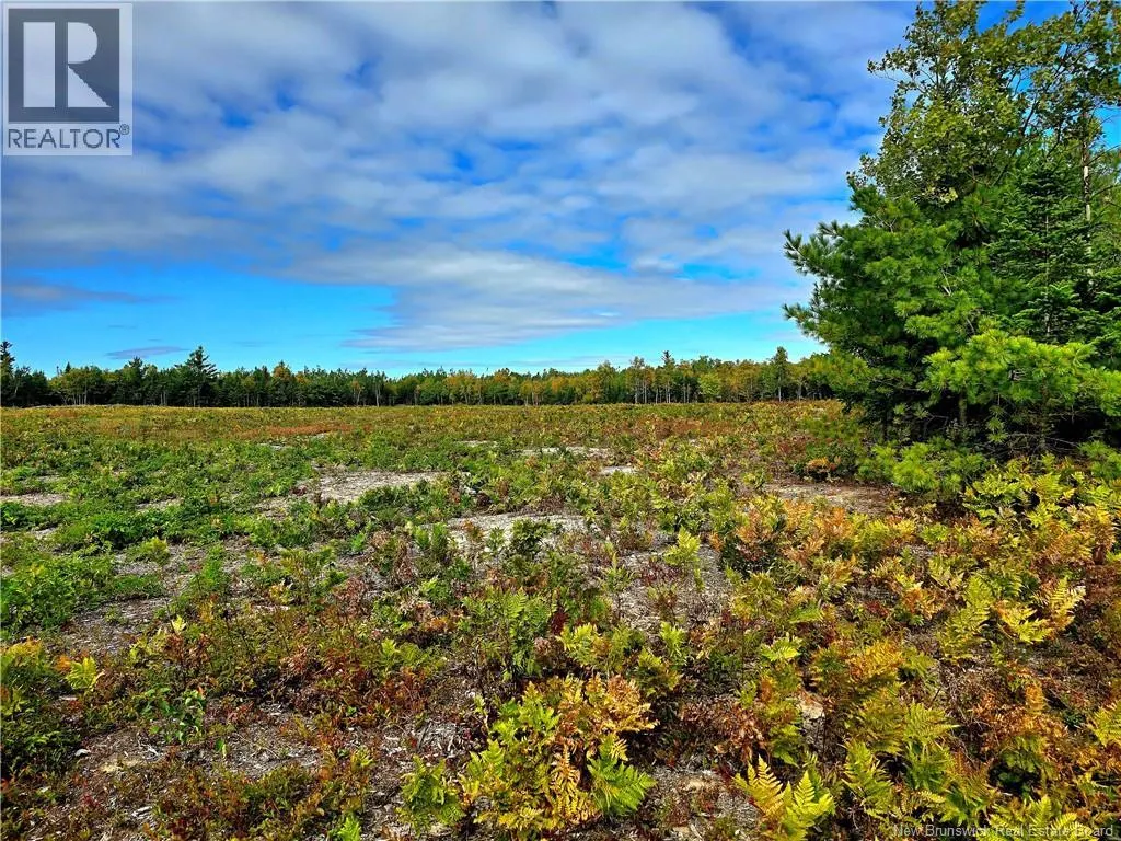 52.29 acres Chemin LeBouthillier