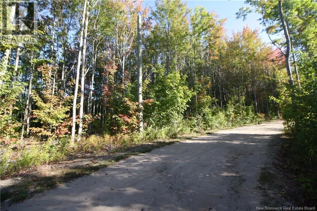 LOT 20-11 Michael Joo Road