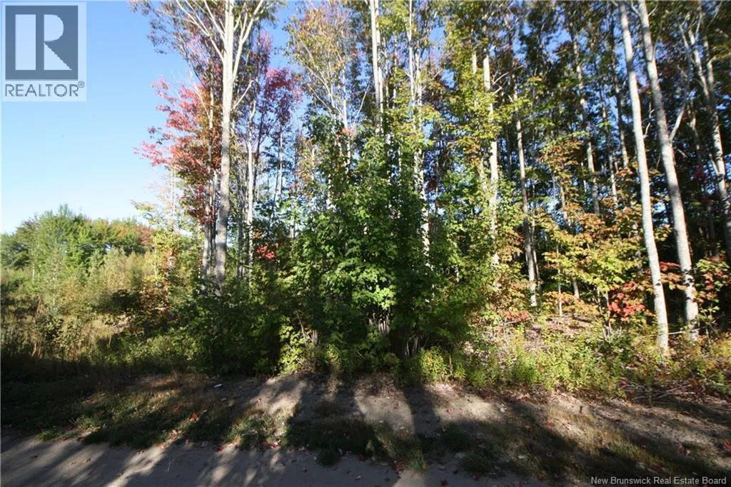 LOT 20-11 Michael Joo Road