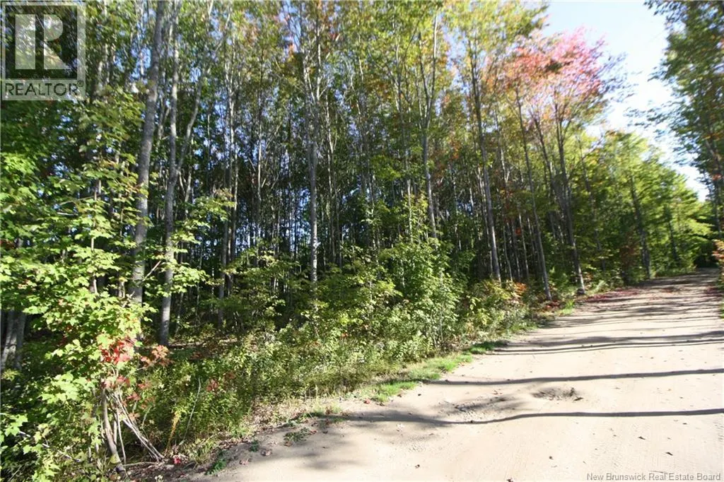 LOT 20-11 Michael Joo Road