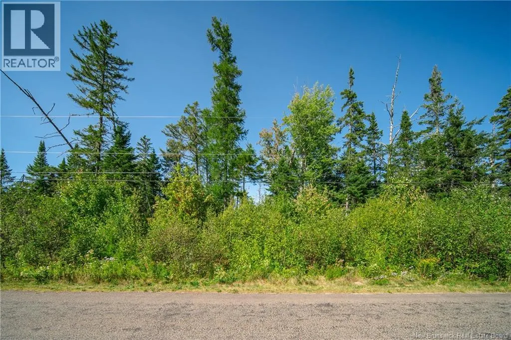 Vacant Lot Mowrey