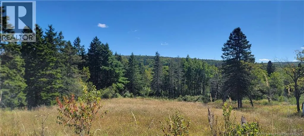 Lot 01-1 Route 121