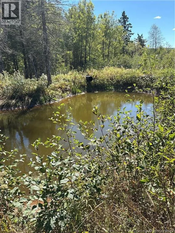Lot 01-1 Route 121