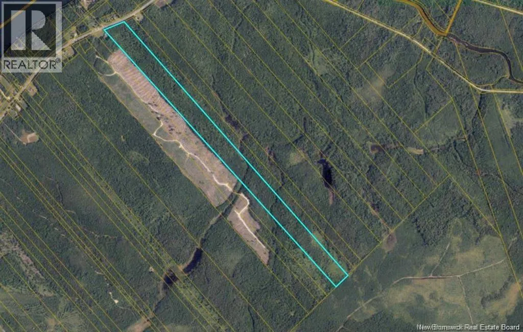 Woodlot Route 118
