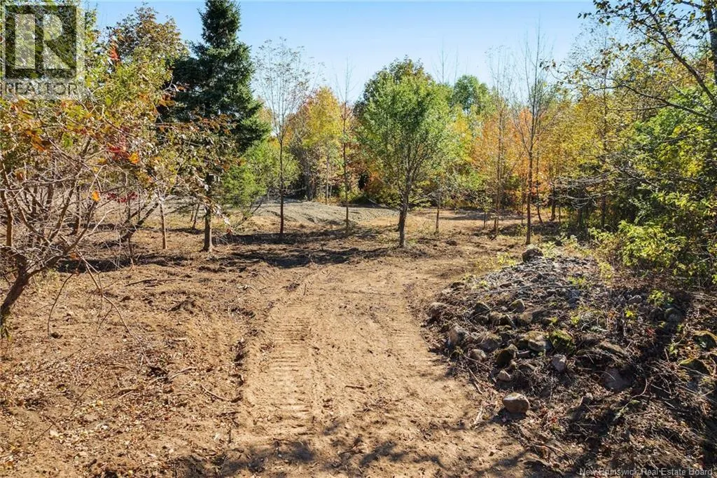 465 Central Hainesville Road