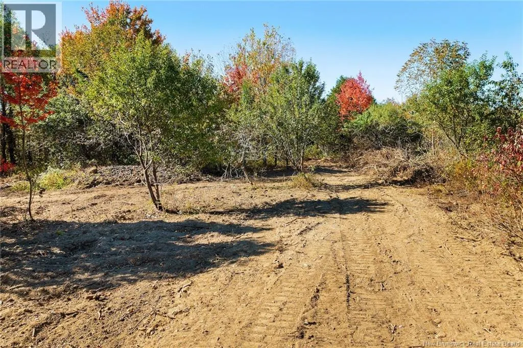 465 Central Hainesville Road