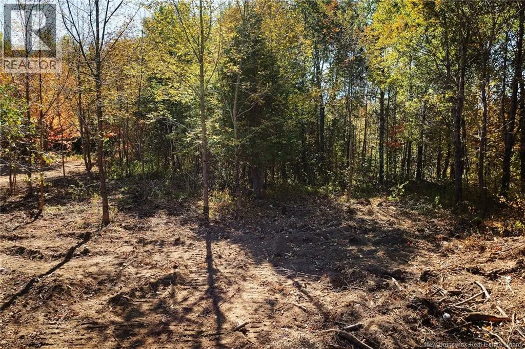 465 Central Hainesville Road