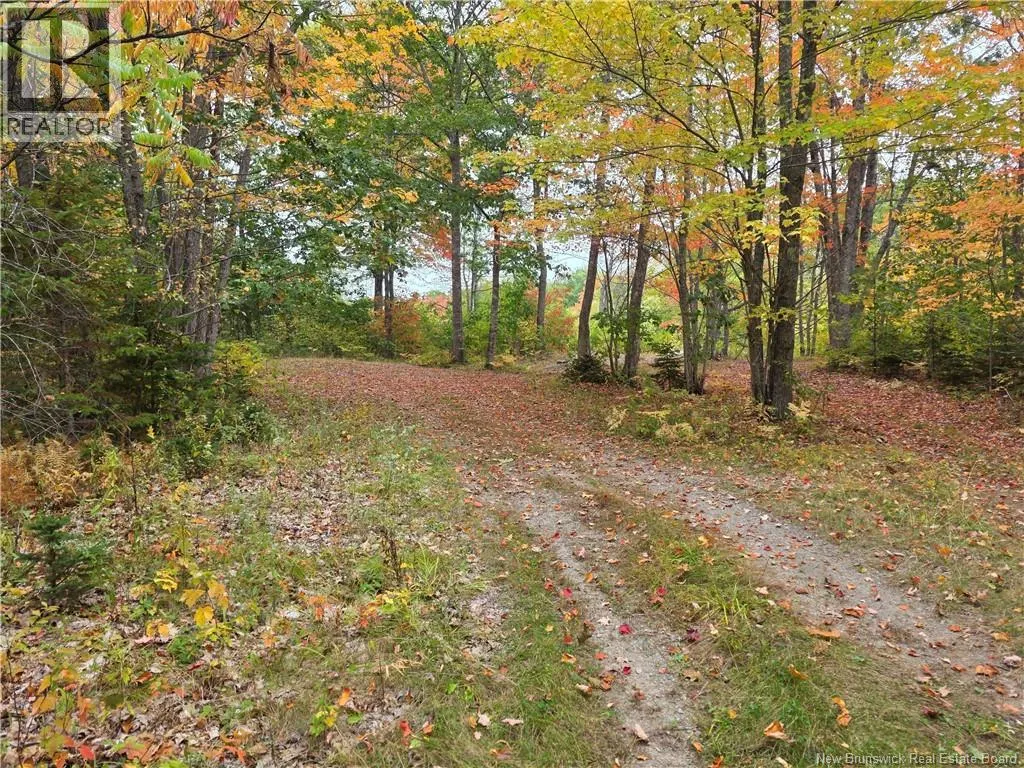 00 Hall Road
