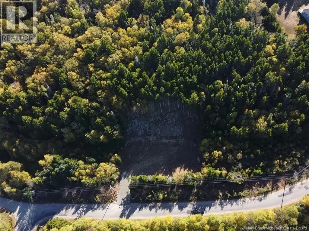 37 Forest Drive