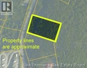 37 Forest Drive