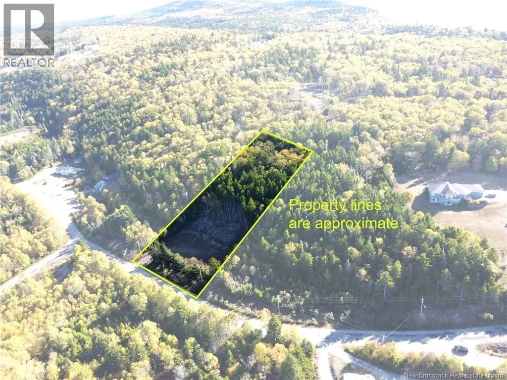 37 Forest Drive