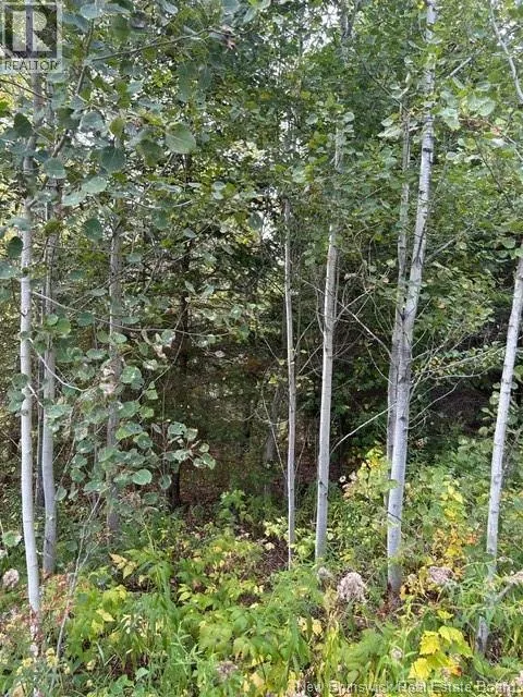 0 885 Route