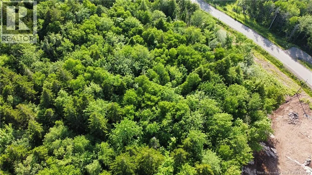 Lot 21-56 Orchard Avenue
