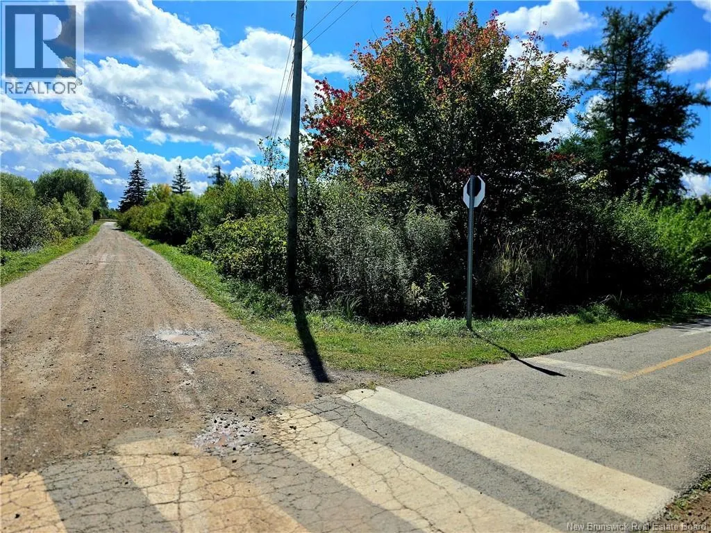 3.25 acres chemin Rufino