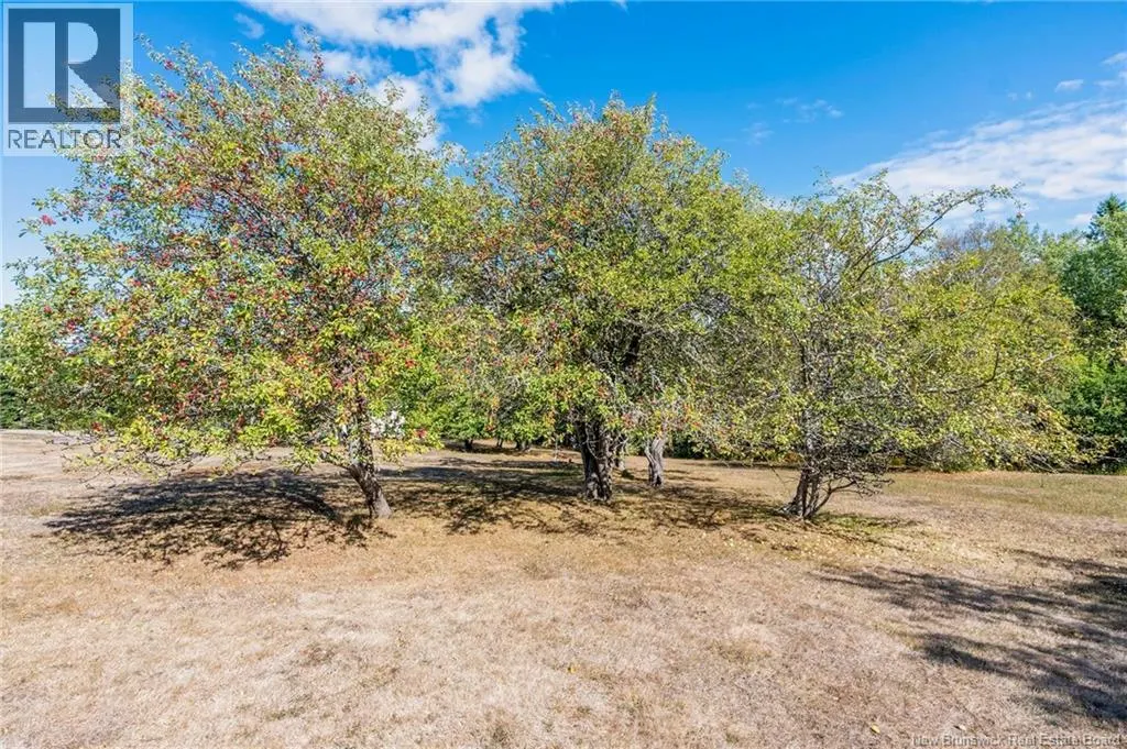174 British Settlement Road