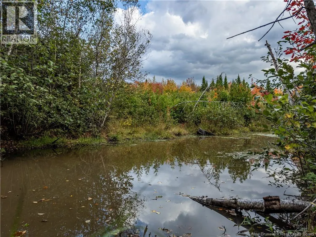 90 Acres Cormier Village Road