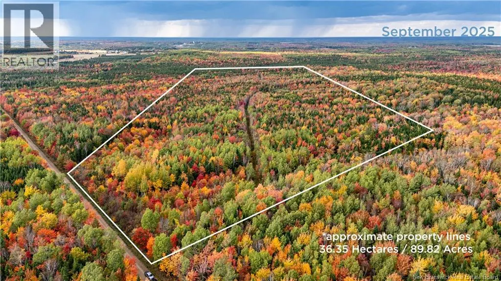 90 Acres Cormier Village Road
