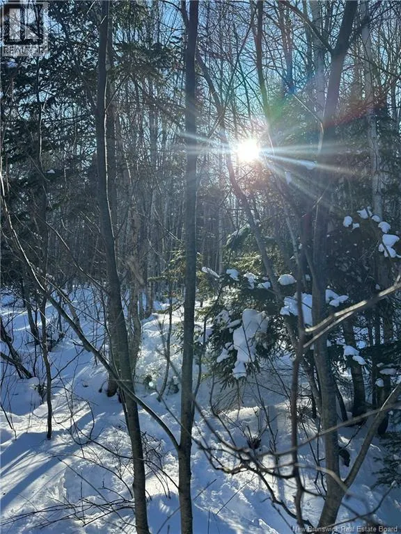 90 Acres Cormier Village Road