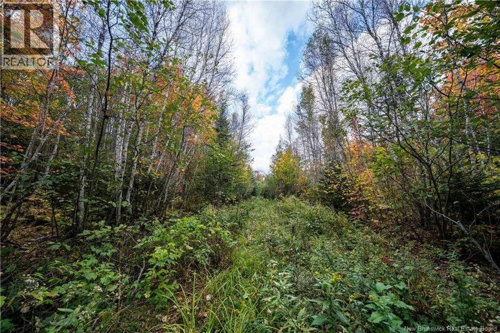 90 Acres Cormier Village Road