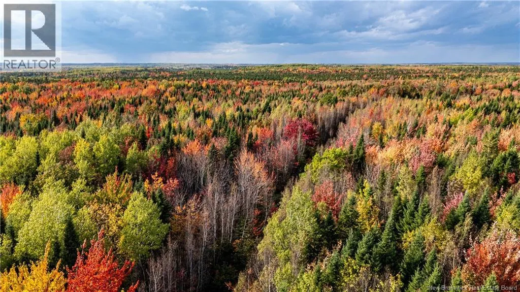 90 Acres Cormier Village Road