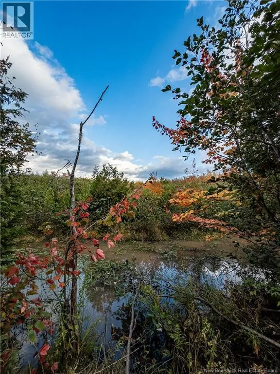 90 Acres Cormier Village Road