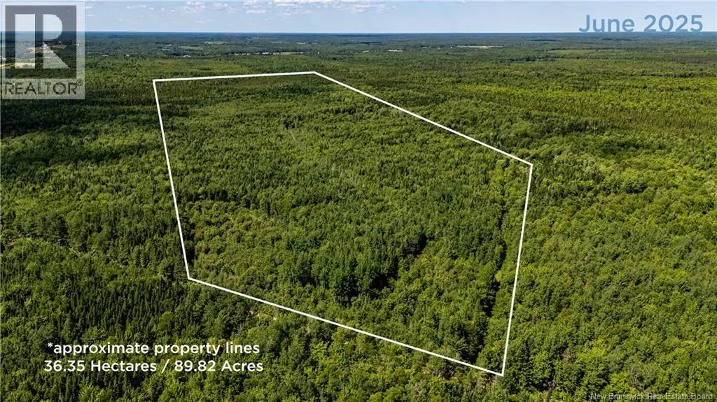 90 Acres Cormier Village Road