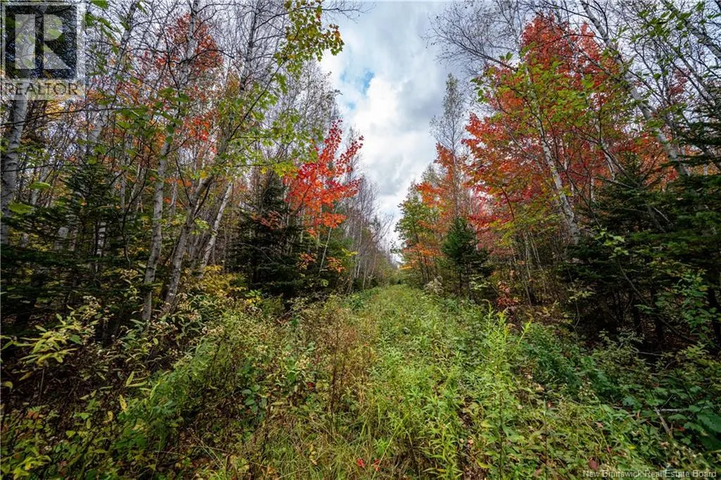 90 Acres Cormier Village Road