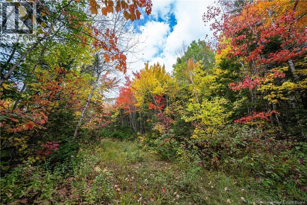 90 Acres Cormier Village Road