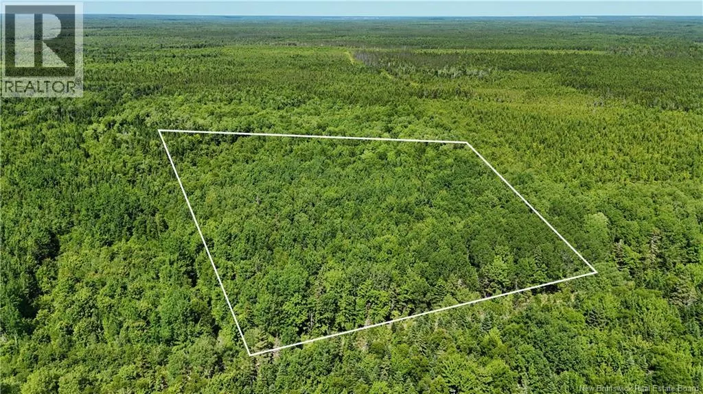 Lot Cormier Village Road