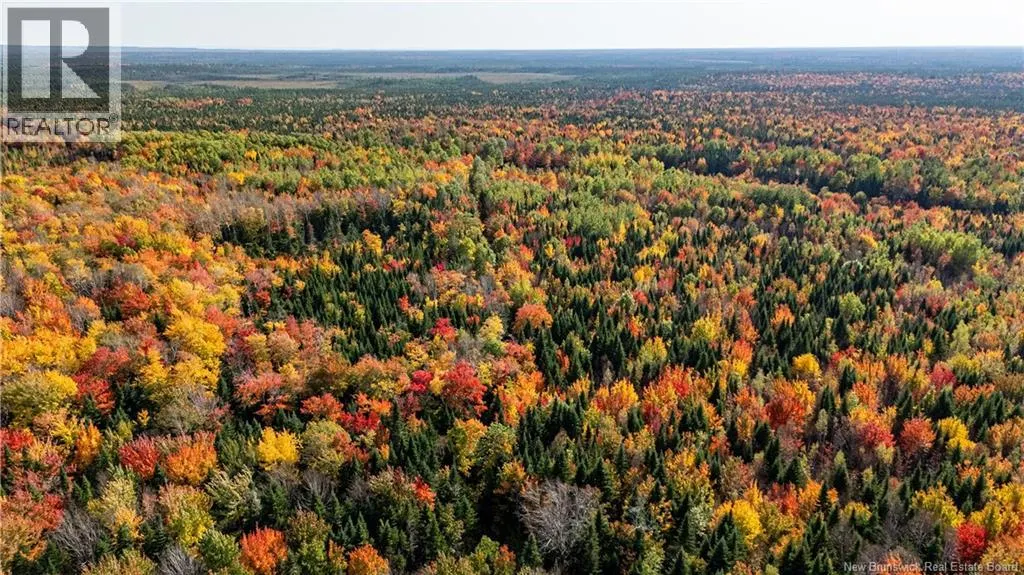 Lot Cormier Village Road