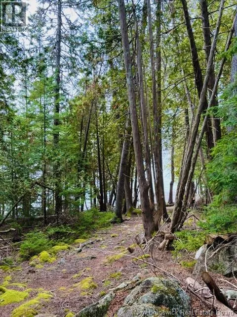 Hills Point Road Oak Bay