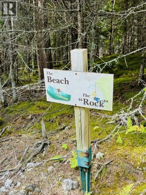 Hills Point Road Oak Bay