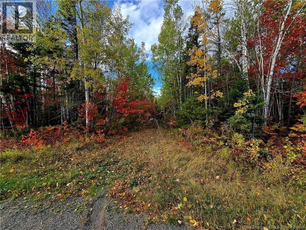 61.28 acres chemin Poirier