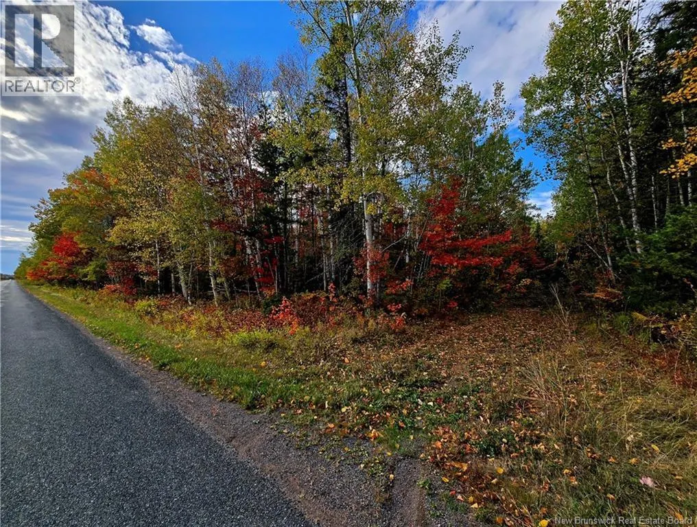61.28 acres chemin Poirier