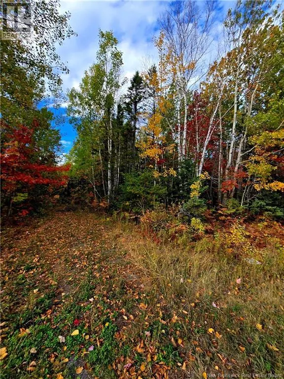 61.28 acres chemin Poirier