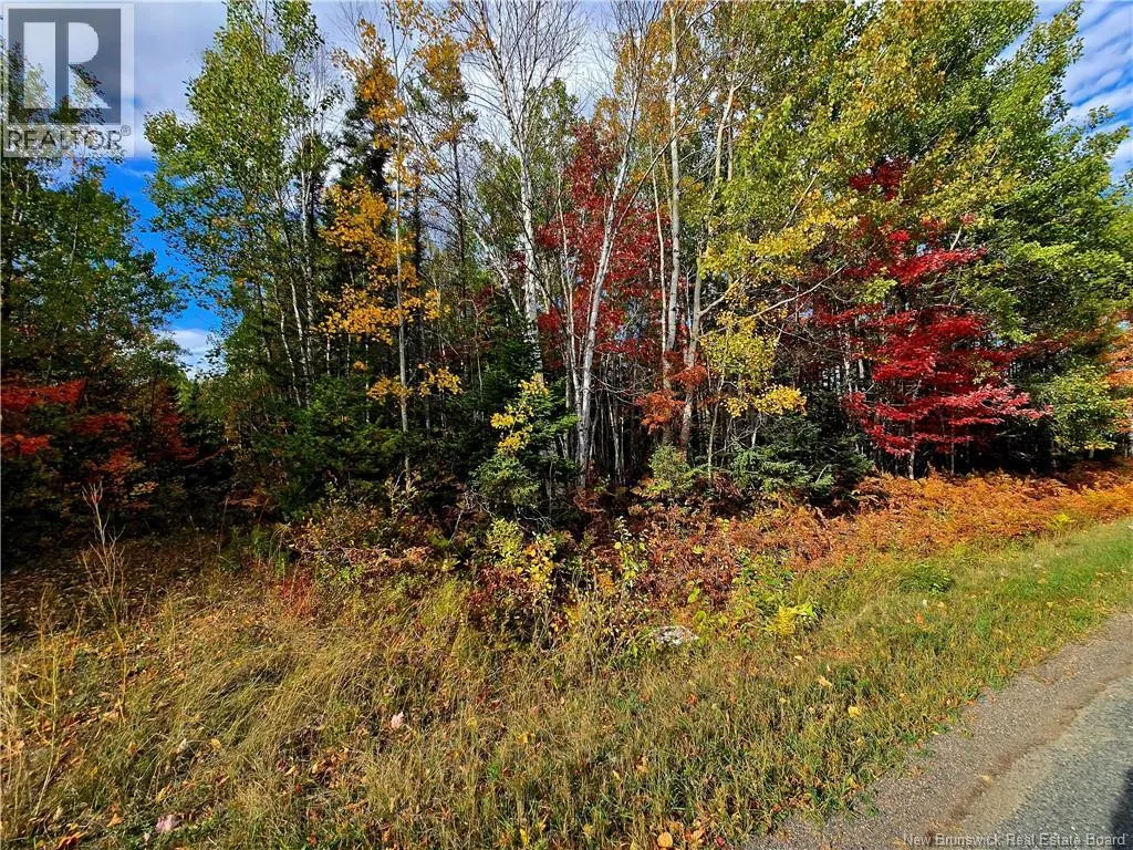61.28 acres chemin Poirier