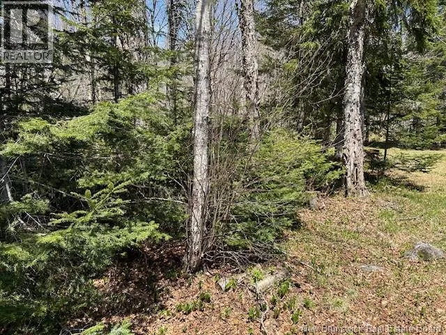 0 Old Shepody Road