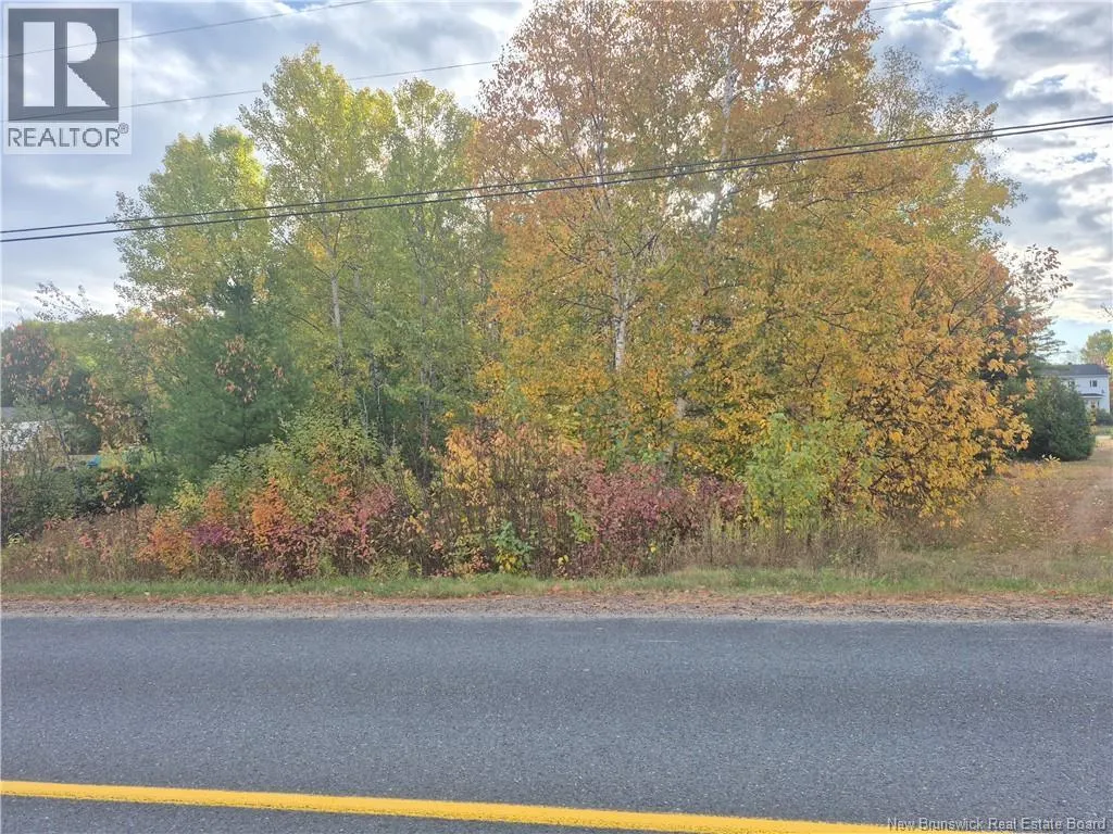 0.5 Acre Noel RD