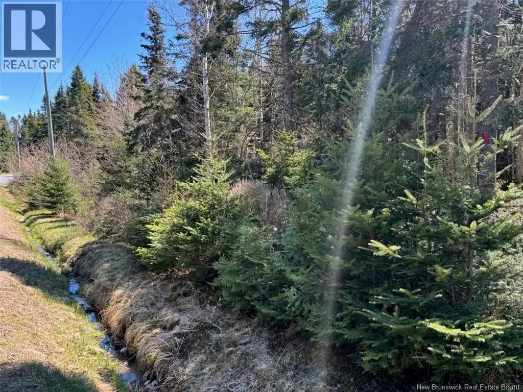 Lot 25-4 Peaceful Mountain Lane
