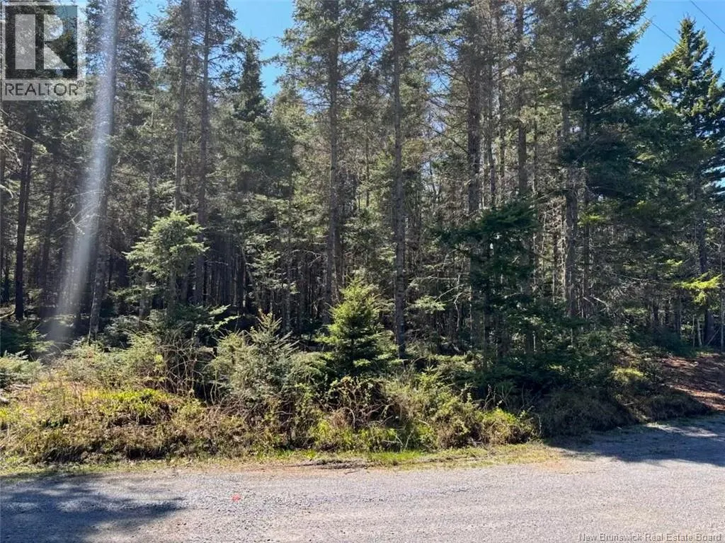 Lot 25-4 Peaceful Mountain Lane